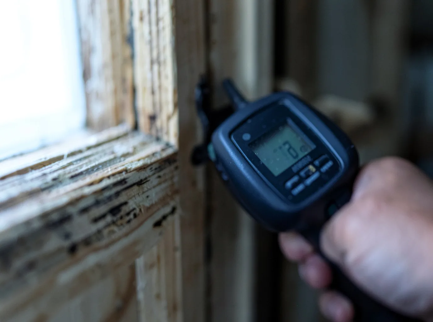 Moisture Inspection And Documentation in Couderay, WI